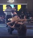 SHIMMER_39_mp4_003595925.jpg