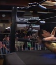 SHIMMER_39_mp4_003608838.jpg