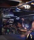 SHIMMER_39_mp4_003609772.jpg