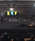 SHIMMER_39_mp4_003646609.jpg