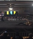 SHIMMER_39_mp4_003647644.jpg