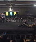 SHIMMER_39_mp4_003651781.jpg