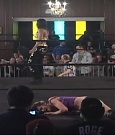 SHIMMER_39_mp4_003881310.jpg