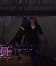 SHIMMER_39_mp4_005557785.jpg