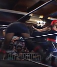 SHIMMER_39_mp4_006054815.jpg