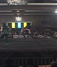 SHIMMER_39_mp4_006171431.jpg