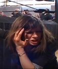 SHIMMER_39_mp4_006481942.jpg
