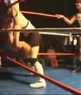 Filename=Rebecca_Knox_VS__Lufisto_0539.jpg
Filesize=60KiB
Dimensions=640x480
Date added=Dec 13, 2021 Rebecca_Knox_VS__Lufisto_0539.jpg