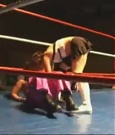 Filename=Rebecca_Knox_VS__Lufisto_0566.jpg
Filesize=52KiB
Dimensions=640x480
Date added=Dec 13, 2021 Rebecca_Knox_VS__Lufisto_0566.jpg