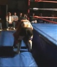 Filename=Rebecca_Knox_VS__Lufisto_0798.jpg
Filesize=51KiB
Dimensions=640x480
Date added=Dec 13, 2021 Rebecca_Knox_VS__Lufisto_0798.jpg