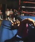 Filename=Rebecca_Knox_VS__Lufisto_0802.jpg
Filesize=52KiB
Dimensions=640x480
Date added=Dec 13, 2021 Rebecca_Knox_VS__Lufisto_0802.jpg