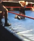 Filename=Rebecca_Knox_VS__Lufisto_0826.jpg
Filesize=51KiB
Dimensions=640x480
Date added=Dec 13, 2021 Rebecca_Knox_VS__Lufisto_0826.jpg