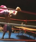 Filename=Rebecca_Knox_VS__Lufisto_1162.jpg
Filesize=54KiB
Dimensions=640x480
Date added=Dec 13, 2021 Rebecca_Knox_VS__Lufisto_1162.jpg