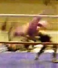 Filename=Supergirls_Championship_Match_091.jpg
Filesize=20KiB
Dimensions=320x240
Date added=Dec 13, 2021 Supergirls_Championship_Match_091.jpg