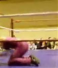 Supergirls_Championship_Match_236.jpg