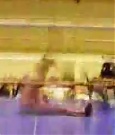 Supergirls_Championship_Match_249.jpg