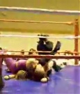 Supergirls_Championship_Match_255.jpg