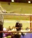 Filename=Supergirls_Championship_Match_256.jpg
Filesize=22KiB
Dimensions=320x240
Date added=Dec 13, 2021 Supergirls_Championship_Match_256.jpg
