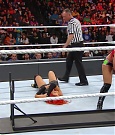 WWE_TLC_2016_PPV_720p_WEB_h264-HEEL_mp40536.jpg