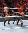 WWE_TLC_2016_PPV_720p_WEB_h264-HEEL_mp40599.jpg