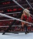 WWE_TLC_2016_PPV_720p_WEB_h264-HEEL_mp40693.jpg