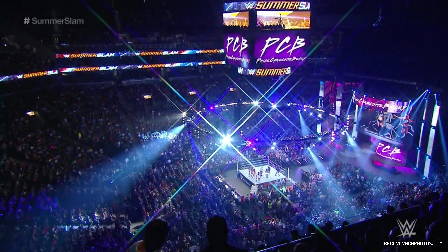 WWE_SummerSlam_2015_720p_WEB_h264-WD_mp40112.jpg