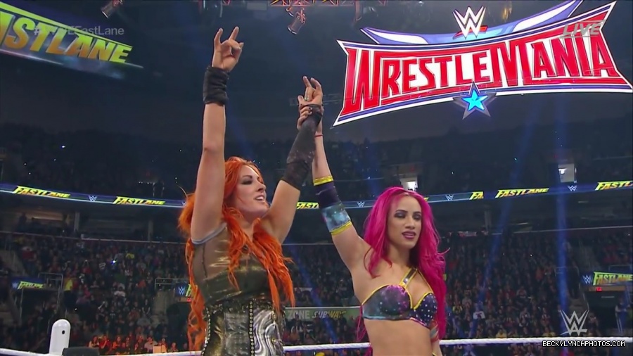 WWE_Fastlane_2016_PPV_720p_WEB_h264-HEEL_mp41312.jpg