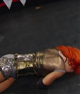 WWE_Fastlane_2016_PPV_720p_WEB_h264-HEEL_mp40822.jpg