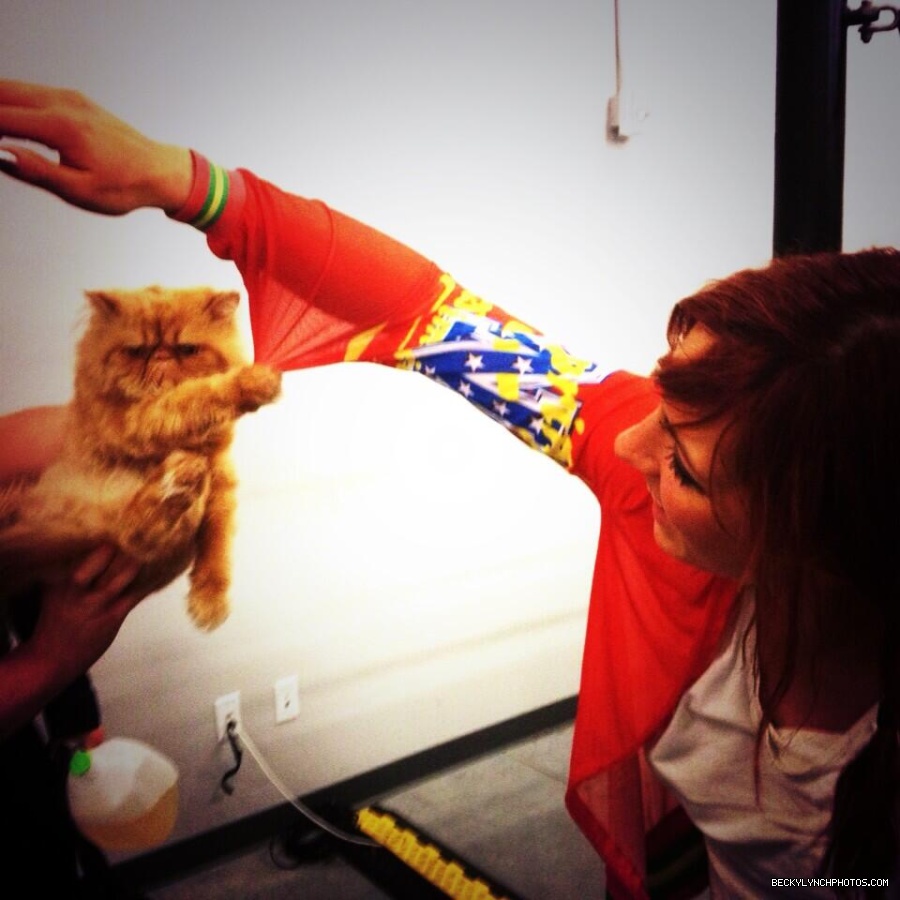 BeckyLynchWWE-0408416039454912512-20131204_200226-img1.jpg