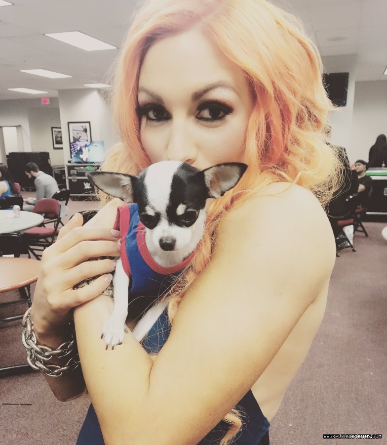 BeckyLynchWWE-0734757293749850112-20160523_094604-img1.jpg