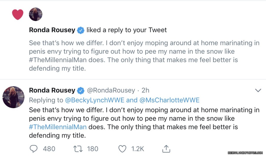BeckyLynchWWE-1064635539356295168-20181119_154427-img1.jpg