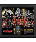 BeckyLynchWWE-0624307988744900612-20150723_145958-img1.jpg