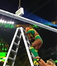 Womens_MITB_mp40432.jpg