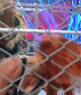 WWE_Payback_2023_1080p_WEB_x264-NWCHD_mp40643.jpg