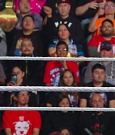 WWE00835.jpg