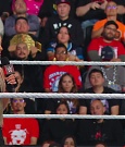 WWE00854.jpg
