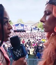 WWE00783.jpg