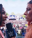 WWE00784.jpg