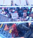 WWE00058.jpg