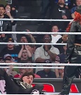 WWE00640.jpg