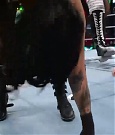 Becky_Mania_mp41062.jpg
