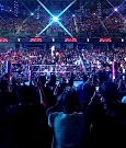 WWE01271.jpg