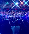 WWE01272.jpg