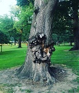 Filename=2016-08-12_20_02_35_1315556319243314456_448900764.jpg
Filesize=302KiB
Dimensions=1080x1080
Date added=Aug 27, 2021 2016-08-12_20_02_35_1315556319243314456_448900764.jpg
