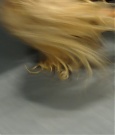 MITB_19_mp43634.jpg