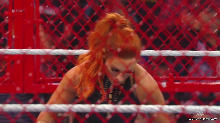 Hell_in_a_Cell_19_mp40163.jpg