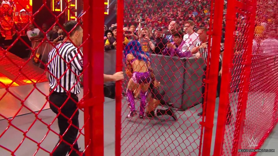 Hell_in_a_Cell_19_mp40215.jpg