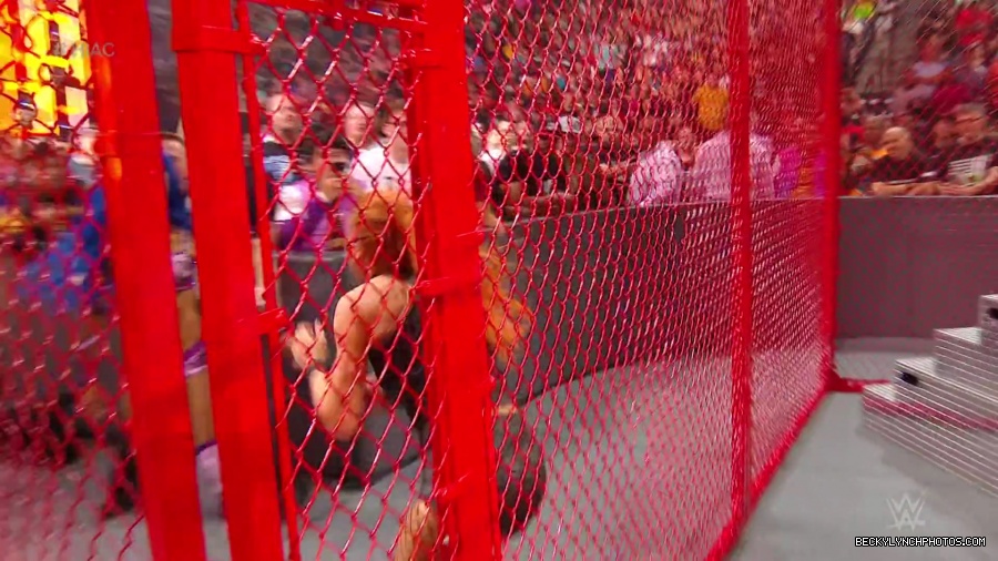 Hell_in_a_Cell_19_mp40218.jpg