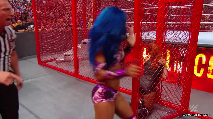 Hell_in_a_Cell_19_mp40231.jpg