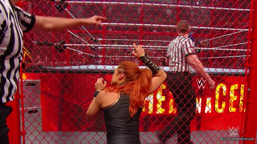 Hell_in_a_Cell_19_mp40253.jpg